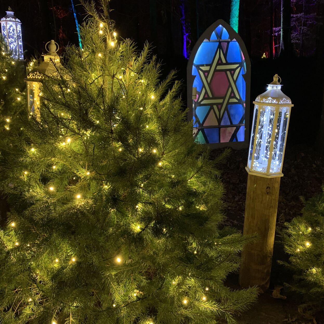 Winter Woods Spectacular (9).JPG